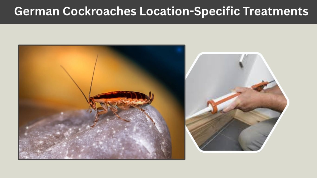 German Cockroaches Location-Specific Treatments