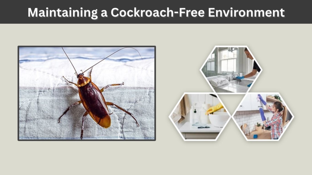 Maintaining a Cockroach-Free Environment